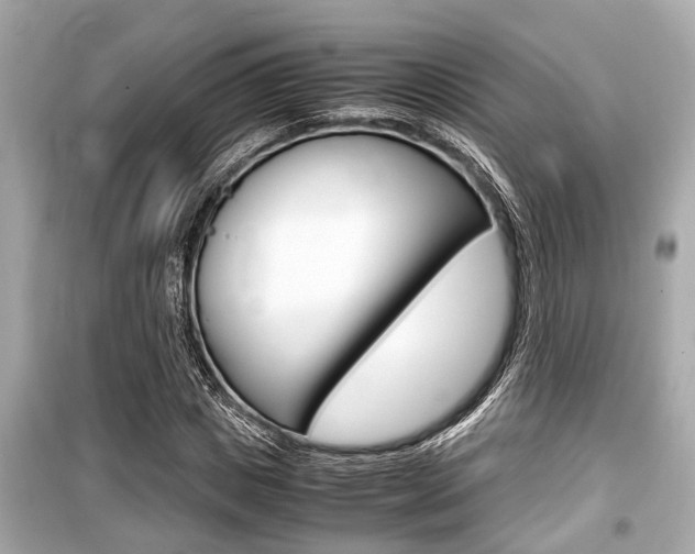 X0000099550825200805160724