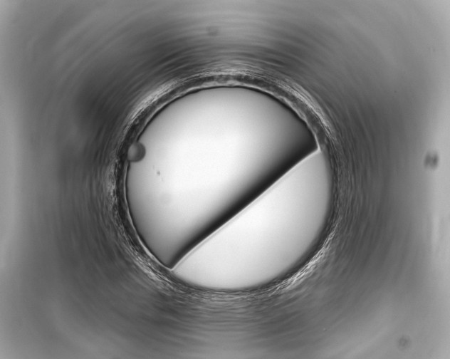 X0000099550826200805160724