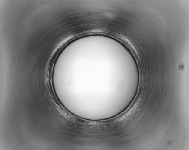 X0000099550827200805160724
