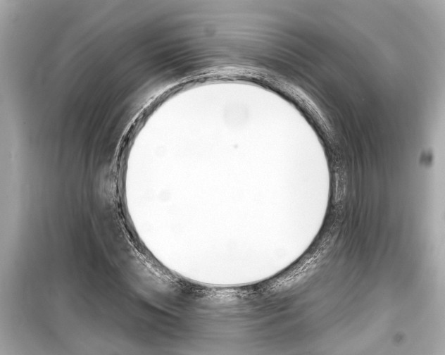 X0000099550828200805160724