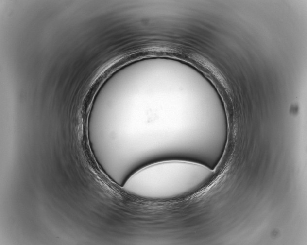X0000099550829200805160724