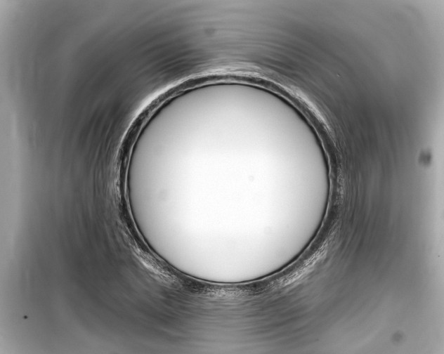X0000099550830200805160724