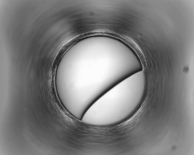X0000099550831200805160724