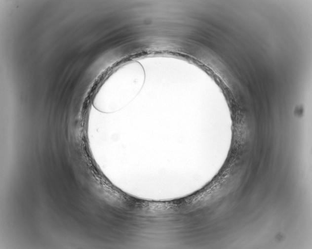 X0000099550832200805160724