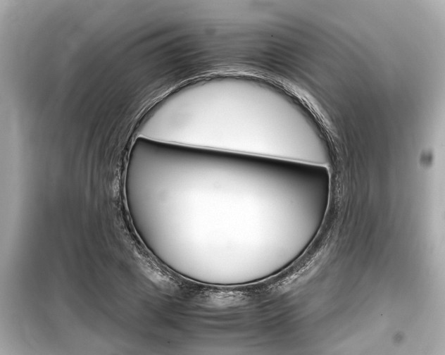 X0000099550833200805160724