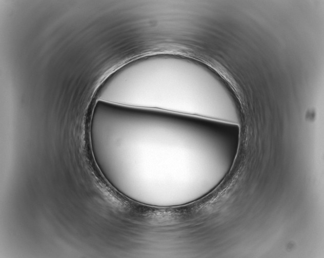 X0000099550834200805160724