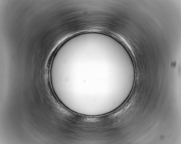 X0000099550835200805160724