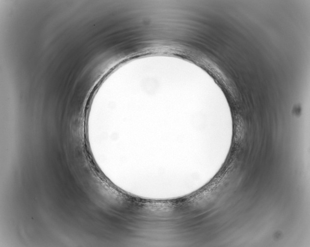 X0000099550836200805160724