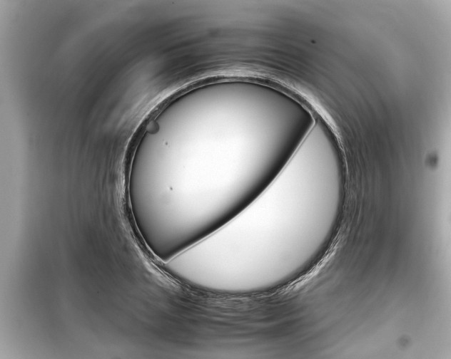 X0000099550837200805160724
