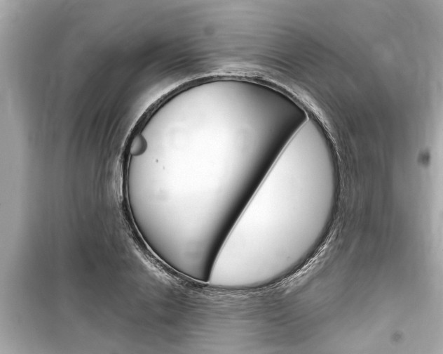 X0000099550838200805160724