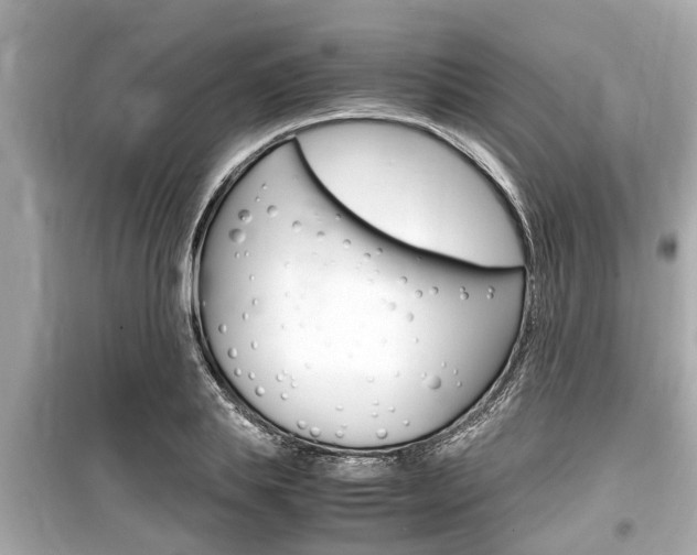 X0000099550839200805160724