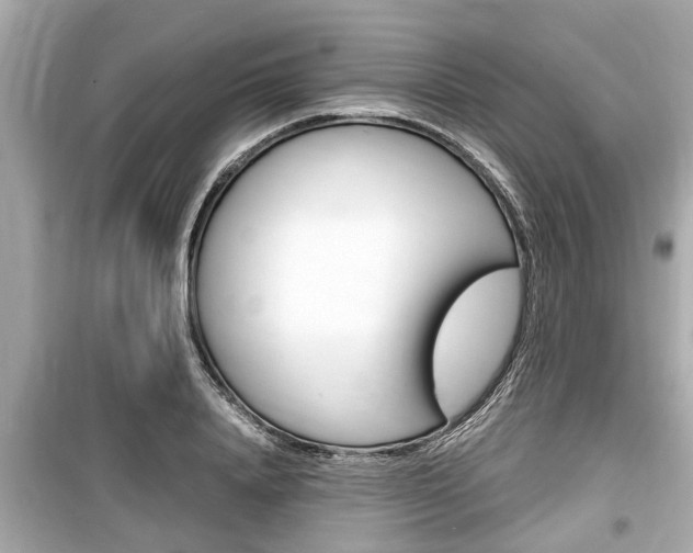 X0000099550840200805160724