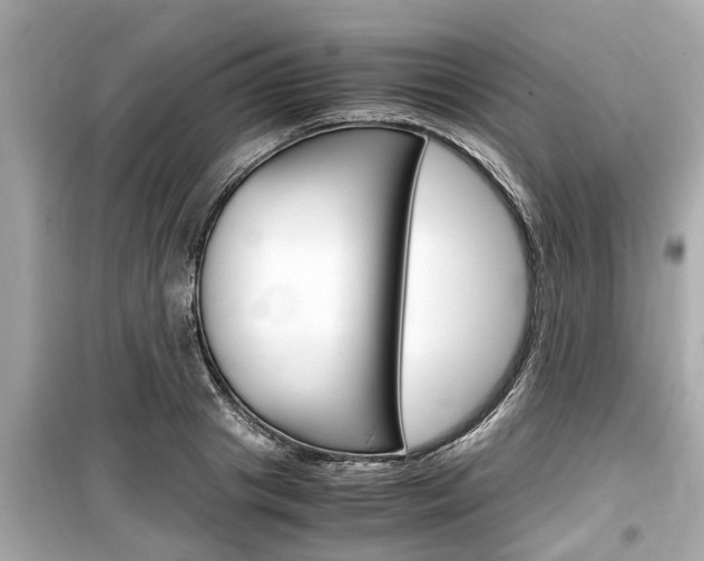 X0000099550841200805160724