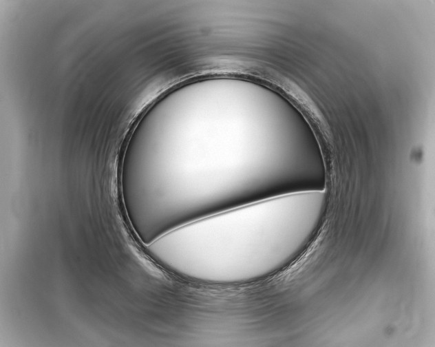 X0000099550842200805160724
