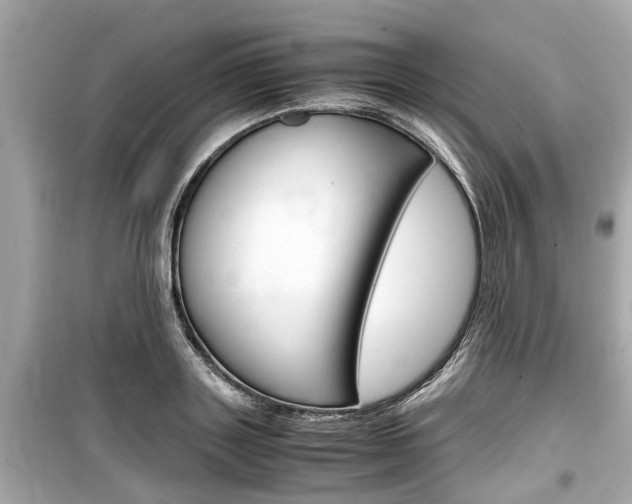 X0000099550843200805160724