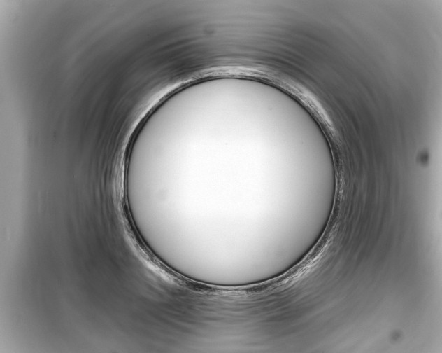 X0000099550844200805160724