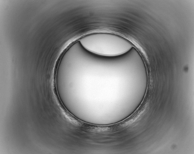 X0000099550845200805160724