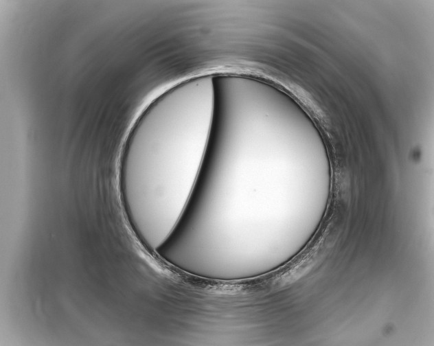X0000099550846200805160724