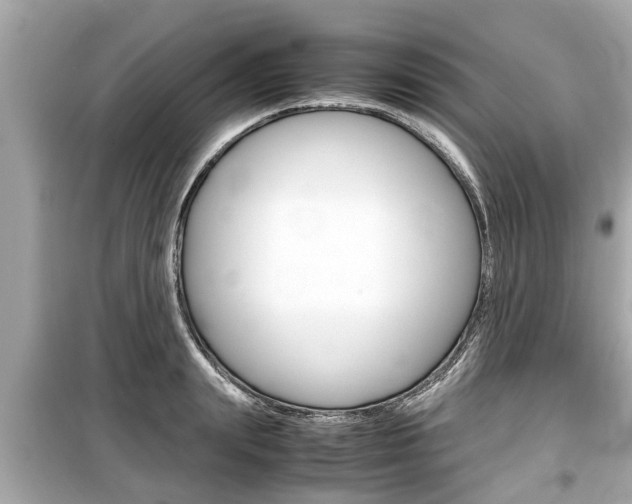 X0000099550847200805160724