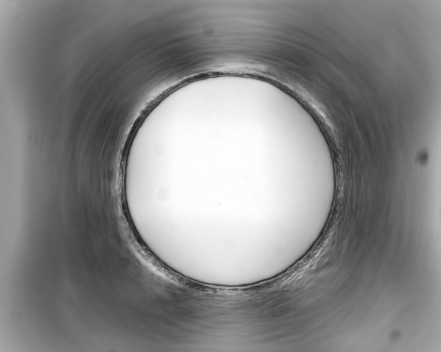 X0000099550848200805160724