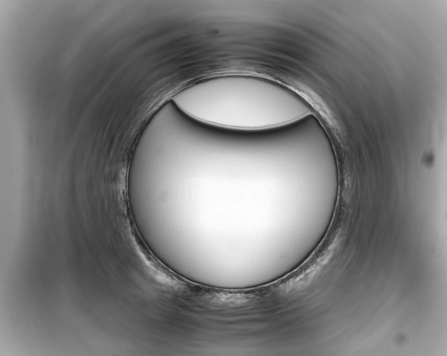 X0000099550849200805160724