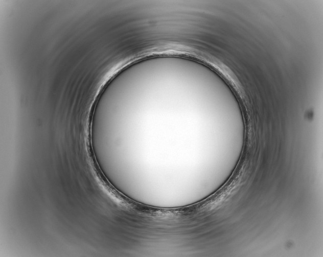 X0000099550850200805160724