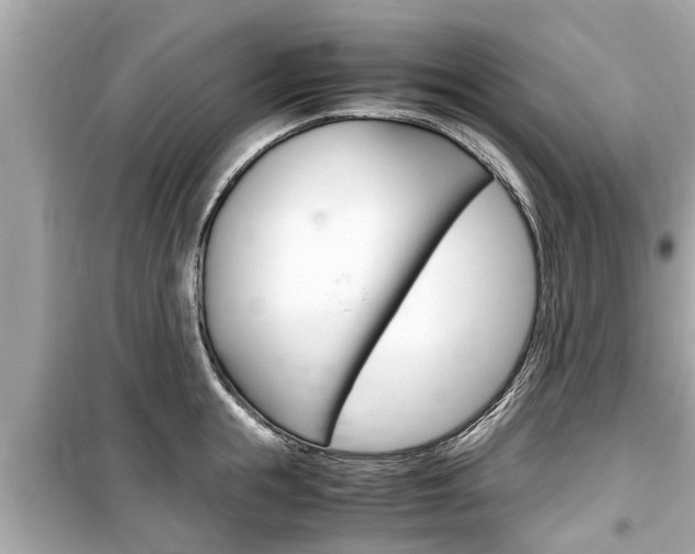 X0000099550855200805160724
