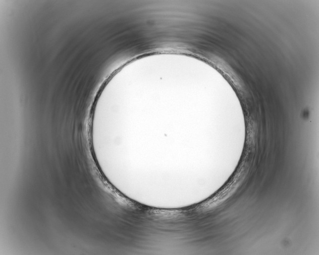 X0000099550856200805160725