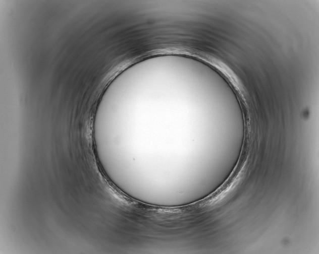 X0000099550857200805160725