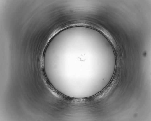 X0000099550858200805160725