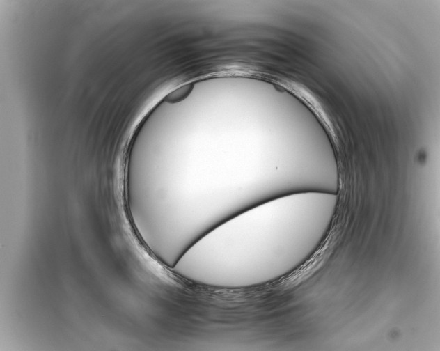 X0000099550859200805160725