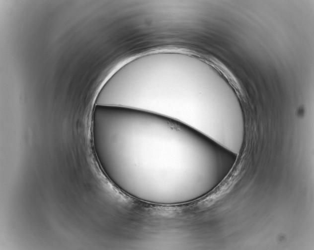 X0000099550860200805160725