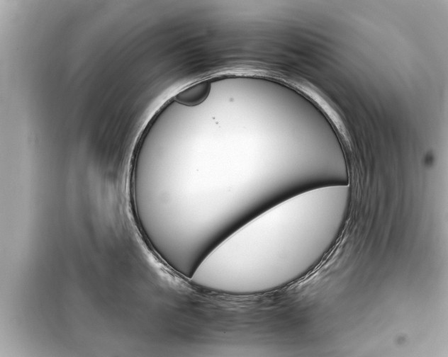 X0000099550861200805160725