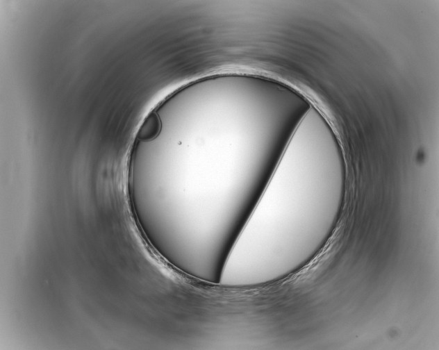 X0000099550862200805160725