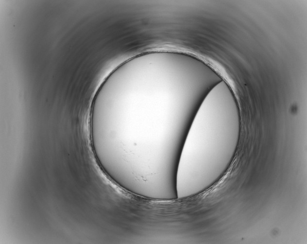 X0000099550863200805160725