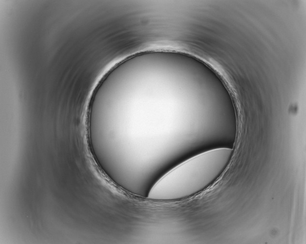 X0000099550864200805160725