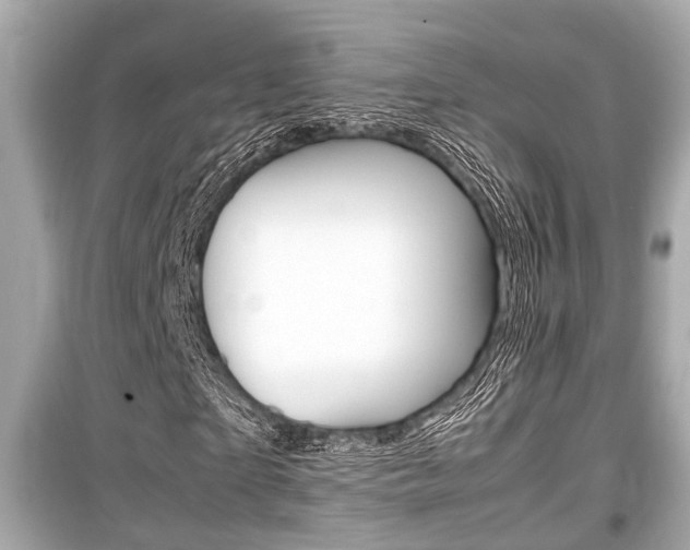 X0000099550865200805160724