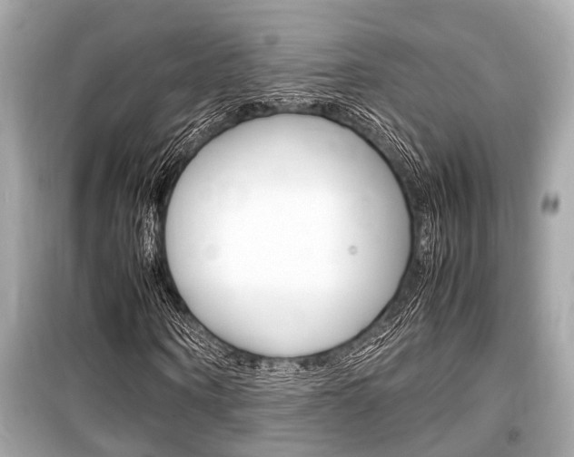 X0000099550866200805160724