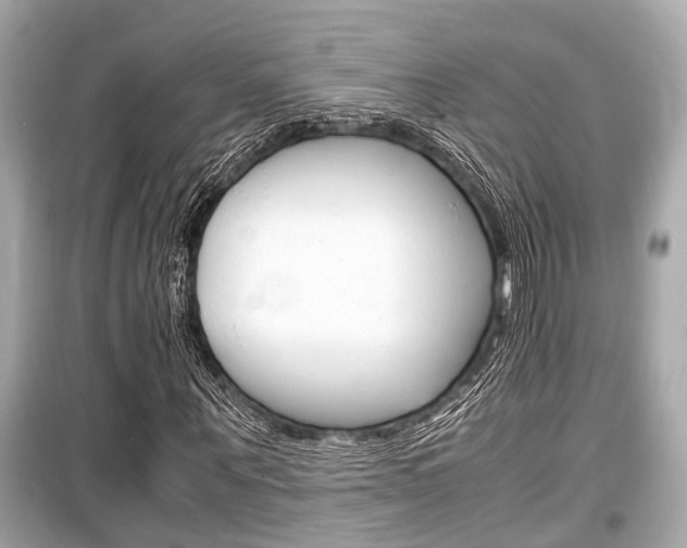 X0000099550867200805160724