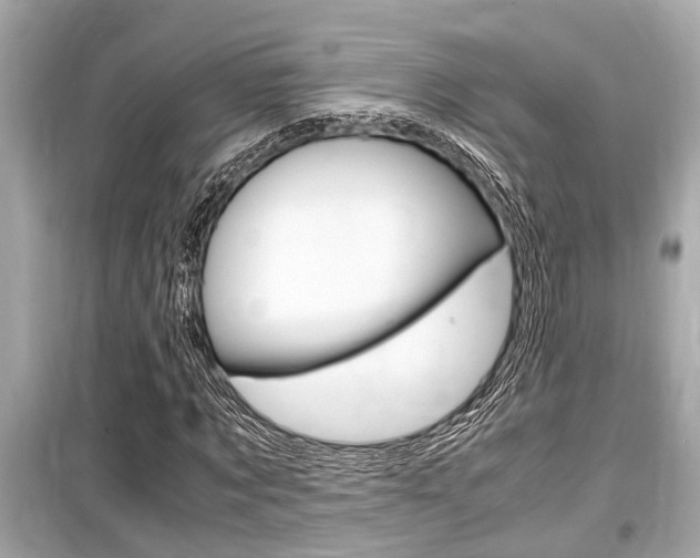 X0000099550869200805160724