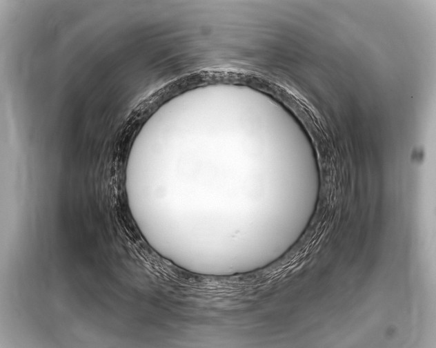 X0000099550870200805160724