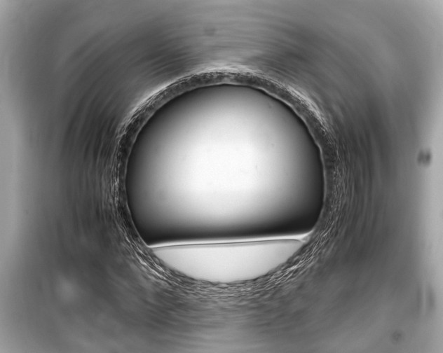 X0000099550872200805160724