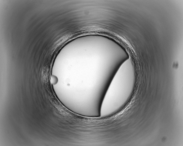 X0000099550873200805160724