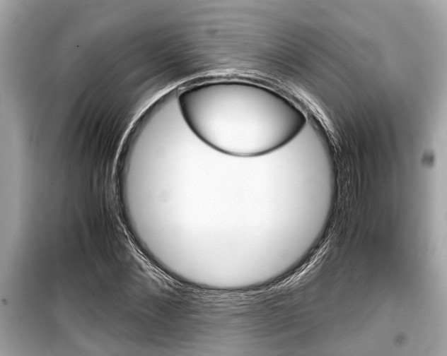 X0000099550876200805160724