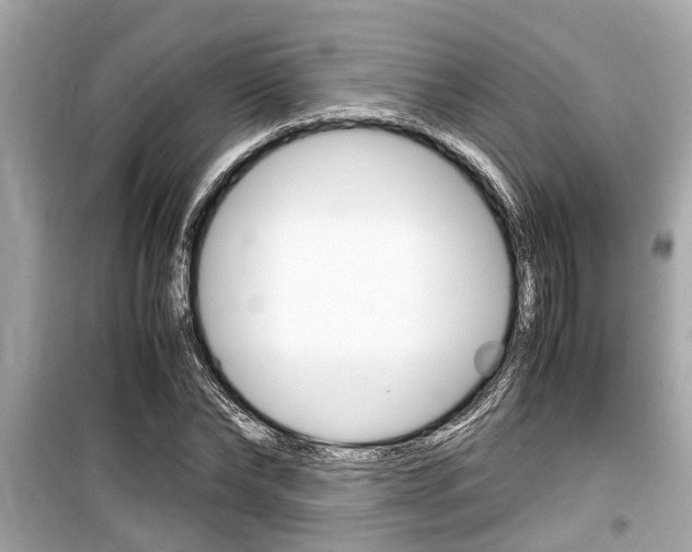 X0000099550878200805160724