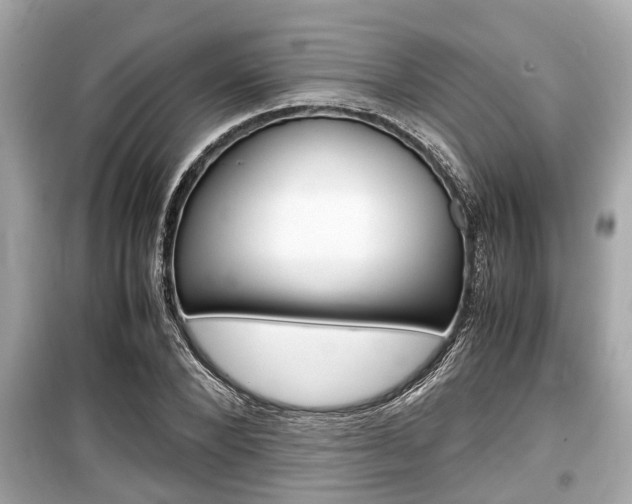 X0000099550880200805160724