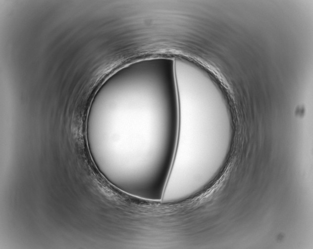 X0000099550881200805160724