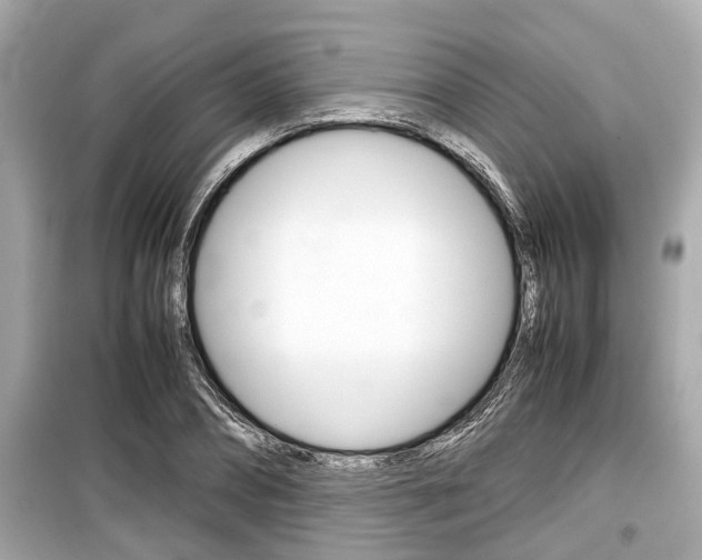X0000099550882200805160724