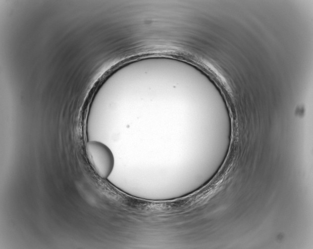 X0000099550883200805160724