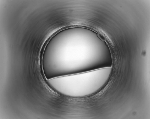 X0000099550884200805160724